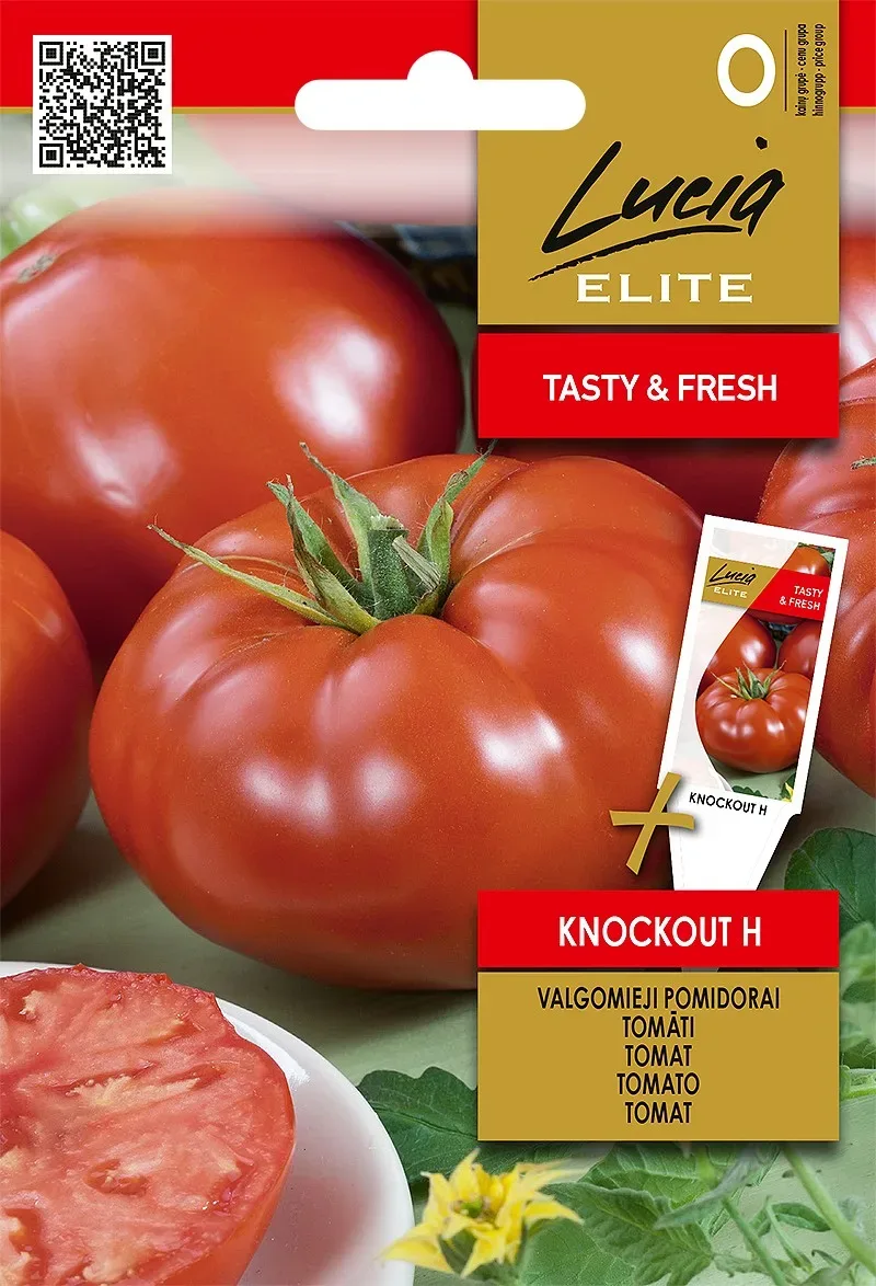 TOMATO KNOCKOUT H